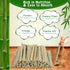 1000g Chinchilla BWOGUE Pet Snacks Sweet Bamboo Chew Toy for Squirrel Rabbits Guinea Pigs Hamster