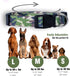 Native Pup Camo Dog Collar, Medium, Green