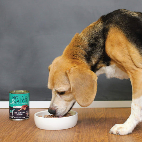 Hound & Gatos Wet Dog Food, 98% Gamebird Poultry, case of 12, 13 oz cans