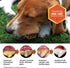 Dental Treats for Large Dogs, Old Version, 24oz, 18 Count