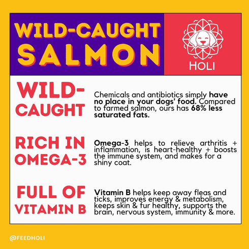HOLI Freeze Dried Salmon Dog Treats, with Omega 3 and 6 Fish Oil, Grain Free, Made in USA