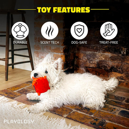 Playology Puppy Dog Ball Toys for Sensory Development, Stuffed Chew Toy with Squeaker for Puppies