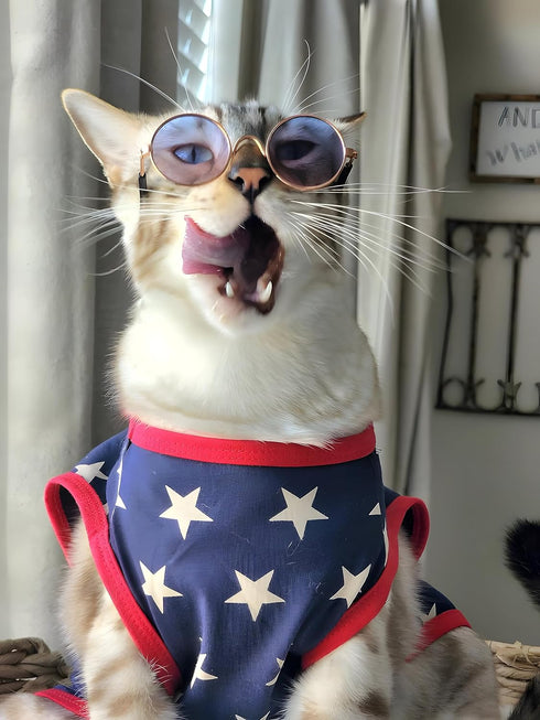 Fitwarm Patriotic Star Dog Shirt - 4th of July Holiday Clothes for Small Dogs, 100% Breathable Cotton