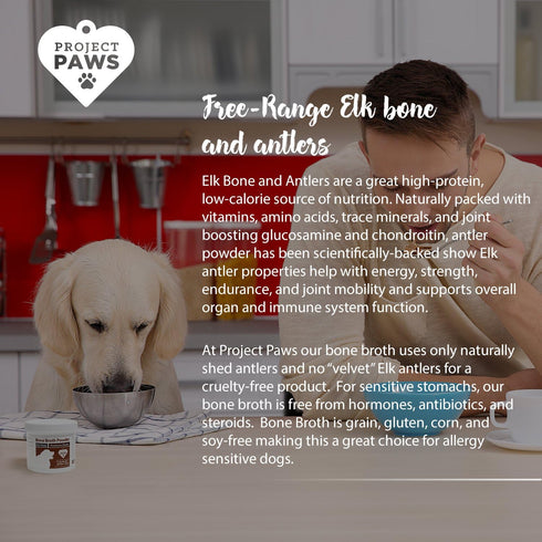 Bone Broth for Dogs with Powdered Elk Antler, Collagen and Mineral Rich Food Topper, 4 oz Superfood Powder