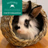 Chinchillas Oxbow Timothy Hay Tunnel, Guinea Pig Hideout, Rabbit & Bunny Tunnel, Edible & Hand-Woven Guinea Pig House
