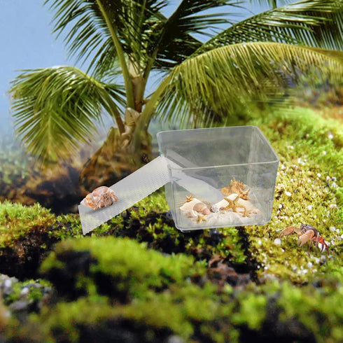 KeaJuidy 2 Pack Transparent Hermit Crab Water Tanks With Cuttable Climbing Ramp, Ideal Habitat and Toy for Small