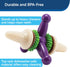 PetSafe Busy Buddy Jack - Interactive Dog Toy - Purple - Medium - Treat Holding Chew Toy