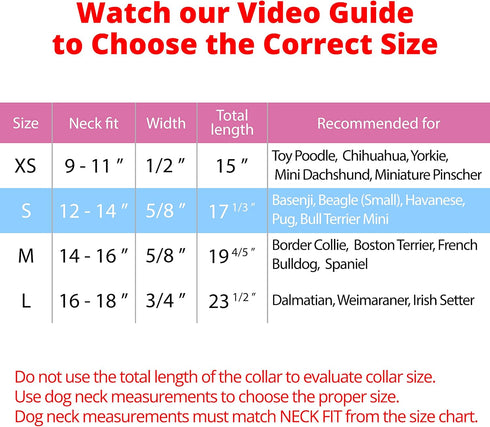 BRONZEDOG Rolled Leather Dog Collar with QR ID Tag, Hot Pink, for Small Medium Large Dogs (S: 12-14 Inch)