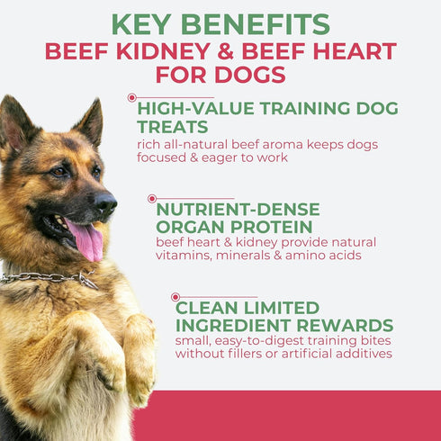 2.5 oz Momentum Carnivore Nutrition Freeze-Dried Beef Training Bites Two Ingredients-Beef Kidney and Heart, Grain-Free