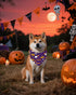 100 Pack PET SHOW Halloween Small Dog Bandanas Bulk No Seam Pumpkin Ghost Triangle Bibs Scarves for Girl Boy Pets