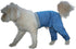 Best Dog Walking Pants for XL Extra-Large Dogs