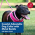 Coastal Pet Adjustable Dog Collar with Metal Buckle - Fade-Resistant Dog Collar Perfect for Walking & Tie Outs - Comfortable Collar with Snap Lock - Neon Pink - 1" x 18" - 26"