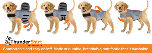 ThunderShirt Medium Platinum Sport for Dogs - Calming Vest for Dog Anxiety Relief