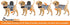 ThunderShirt Medium Platinum Sport for Dogs - Calming Vest for Dog Anxiety Relief
