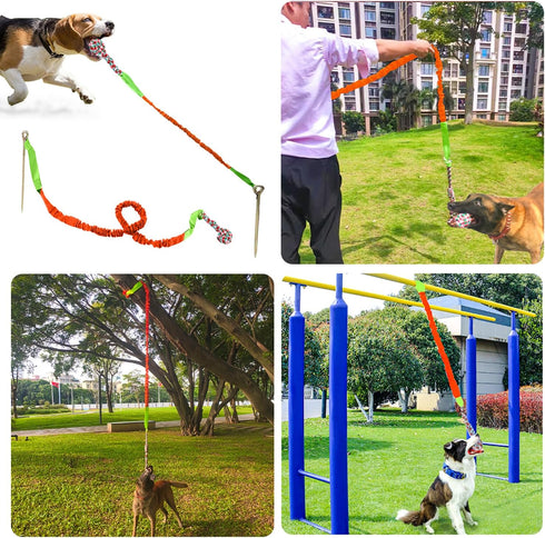 Outdoor Dog Toy with Stake - Interactive Tug of War Ball for Large Breed Aggressive Chewers