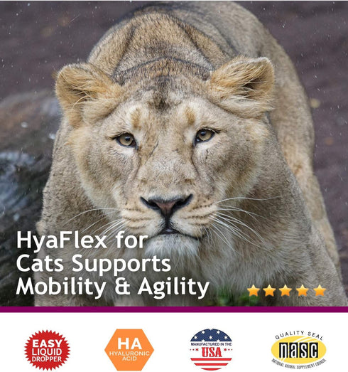 Hyalogic HyaFlex Hyaluronic Acid for Cats, Natural Cat Joint Supplement, 30ml
