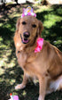 PET SHOW Pink Crown Dog Birthday Party Hat for Girls, Reusable Headband with 0-9 Figures Charms, Pack of 1