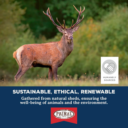 Primal Antlers for Dogs - Grade A Split Moose Antlers for Large Dogs 30-45 lb - Long Lasting Natural Chews - 1 ct