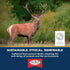 Primal Antlers for Dogs - Grade A Split Moose Antlers for Large Dogs 30-45 lb - Long Lasting Natural Chews - 1 ct