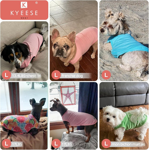 KYEESE 2 Pack Dog Shirts, Quick Dry Lightweight T-Shirts with Reflective Label, Sleeveless Vest for Small Dogs, Lemon