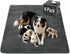FunFurry Flannel Washable Pee Pad for Dogs - 4 Pack Reusable Dog