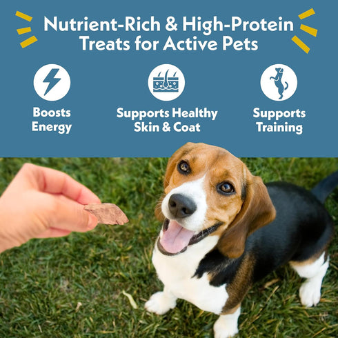 Fresh Is Best Beef Heart Fillets Freeze Dried Dog Treats Raw Freeze Dried Dog Food for Cats & Canines Training Treat