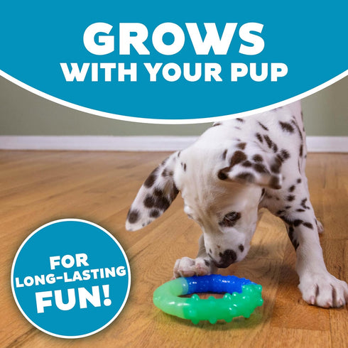 Orka Grow-with-Me-Ring Dog Chew Toy by Petstages