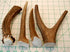Premium Deer Antler Pieces - Dog Chews, Antlers by The Pound, One Pound, 6 Inches or Longer