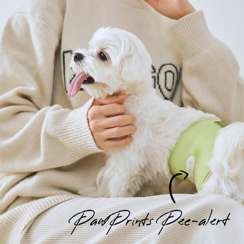 50 1 0 (10.5"-14" WICKEDPUP Male Dog Belly Band Kit, Diaper Pads & Reusable Male Wrap (Size Waist))
