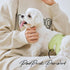 50 1 0 (10.5"-14" WICKEDPUP Male Dog Belly Band Kit, Diaper Pads & Reusable Male Wrap (Size Waist))
