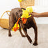 Fringe Studio Plush Dog Toy, Sweet Little Chick, Pet Shop Collection
