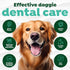 TropiClean Fresh Breath & Tartar Control System for Large Dogs, Dog Toothpaste & Brush, Dental Gel for Dogs
