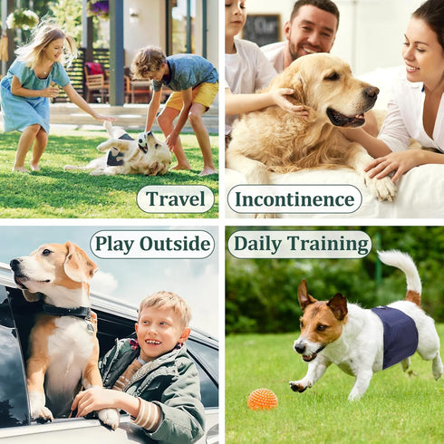 Pack 5, Reusable Dog Diapers Male, Premium Washable Belly Bands for Male Dogs, of High Absorbing Extra Small Male Dog