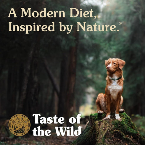 Taste Of The Wild Premium Wet Canned Stew Dog Food, Grain Free Real Meat Recipe, (12) 13.2 oz. Cans