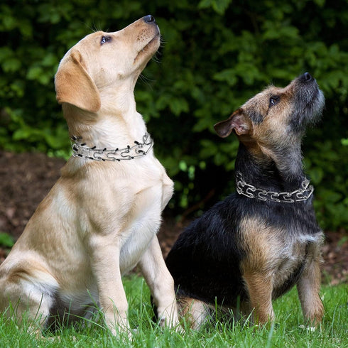 Dog Prong Collar, Choke Collar for Dogs, Detachable Adjustable Collar with Comfort Rubber Tips for Large Dogs