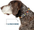 Dog Collar Seatbelt Buckle Nick 90s Rewind - Navy Blue, 11 to 17 Inches, 1.0 Inch Wide