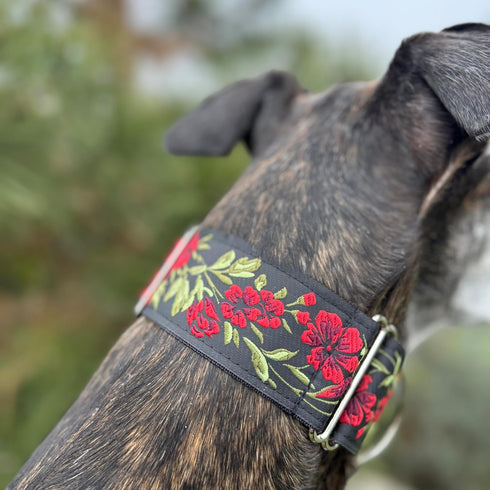 Martingale Dog Collar for Greyhound Saluki Whippet and Similar Breeds, 2'' Wide (M 11''-14'' and Leash Set), Red, Black