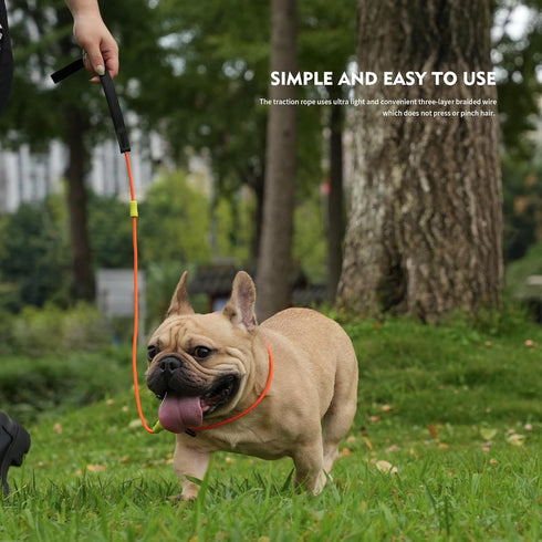 Dog Leash, Strong Lightweight Pet Training Leash for Small, Medium, or Large Dogs, Slip Leads (Black, 4ft)