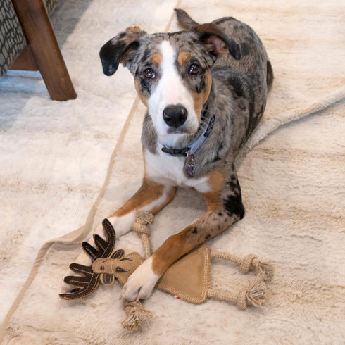 SPOT Dura-Fused Leather Forest Animals Dog Toy with Squeaker and Rope Limbs, 14in, Assorted Styles