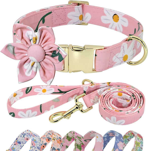 Beirui Cute Girl Dog Collar and Leash Set, Floral Collar with Flower for Small Medium Large Dogs - Pink, 5FT Leash