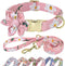 Beirui Cute Girl Dog Collar and Leash Set, Floral Collar with Flower for Small Medium Large Dogs - Pink, 5FT Leash