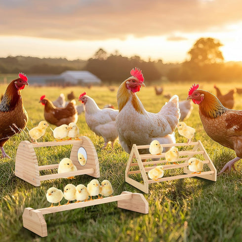 BreezeHug 3 Set Pcs Chicken Roosting Bar Wooden Chick Perch Prevent Rotation Design with Mirror Long Strip Large