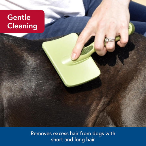 Coastal Pet Safari Dog Soft Slicker Brush, Dog Grooming Brush for Shedding, Small, 6.5" x 2.5" for Dogs with Short,