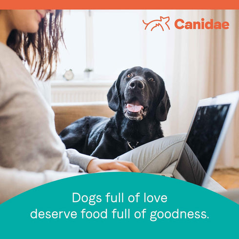 Canidae PURE Limited Ingredient Dry Dog Food, Lamb and Pea Recipe, 4 Pounds, Grain Free