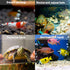 10 Small Aquarium Filter Bags with Zipper, 3 x 8 Inch Fine Media Bags, 150 Micra Mesh Reusable Charcoal Filter