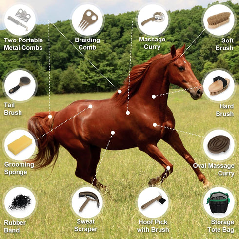 14 Set Horse Grooming Kit Pieces, Horse Brushes for Grooming & Bathing Supplies, Professional Horse Supplies with Mane