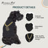Parisian Pet Dog Tshirt, Sleeveless “Bling $” Embroidered Clothes, 100% Cotton Lightweight Tank Top for Small Dogs
