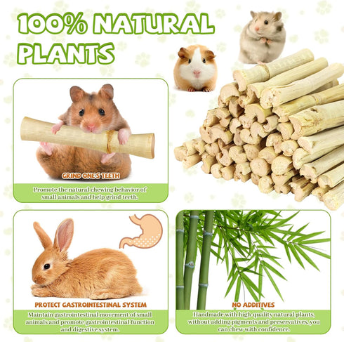 CCatswan 2lb Natural Sweet Bamboo Chew Toys for Small Pets - Organic Molar Sticks with Xylose & Vitamins for Rabbit