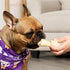 USA Beefhide Bones - 5-6" Dog Chew Treats, Chicken Flavor, 7 Count/1 Pack