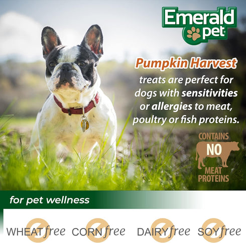 Emerald Pet Pumpkin Mini Trainers Dog Treats, 6 oz, Allergen-Friendly, Vegetarian, Low-Fat, Grain Free, Made in USA
